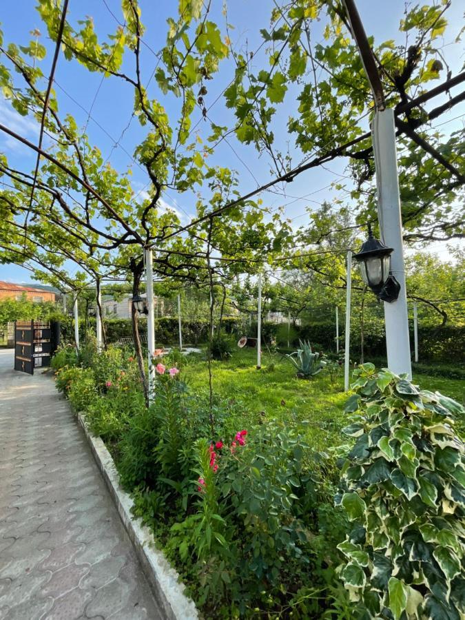 VaniZaali'S Wine Cellar住宿加早餐旅馆 外观 照片