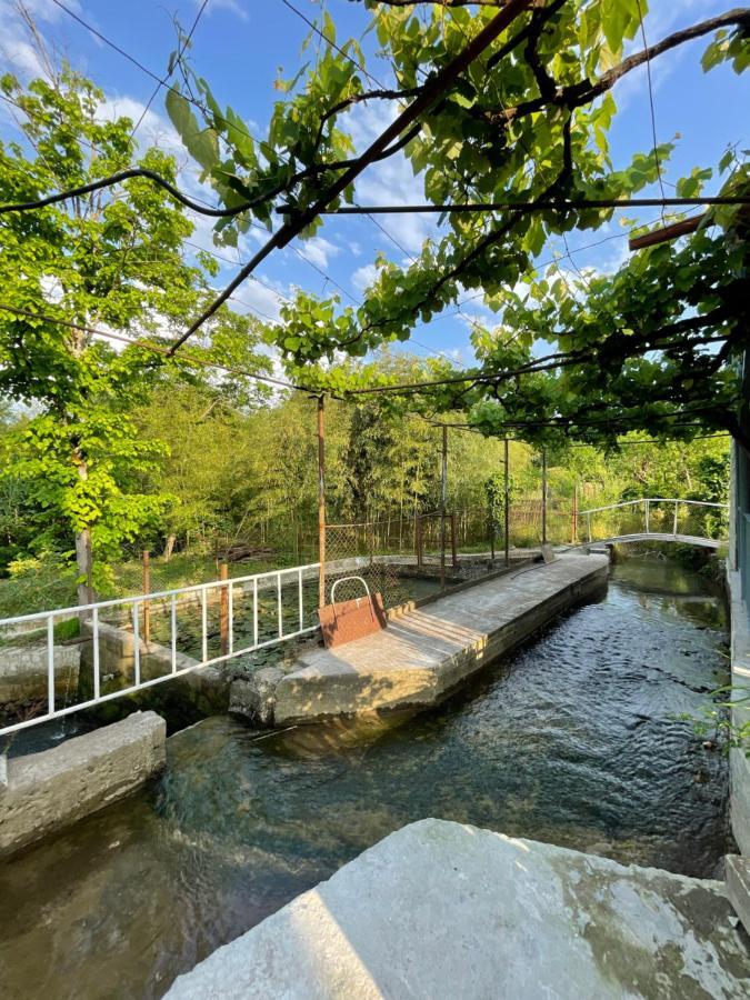 VaniZaali'S Wine Cellar住宿加早餐旅馆 外观 照片