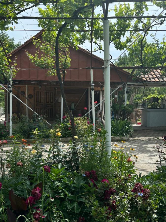 VaniZaali'S Wine Cellar住宿加早餐旅馆 外观 照片
